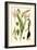 Nature's Harvest III-Vision Studio-Framed Art Print