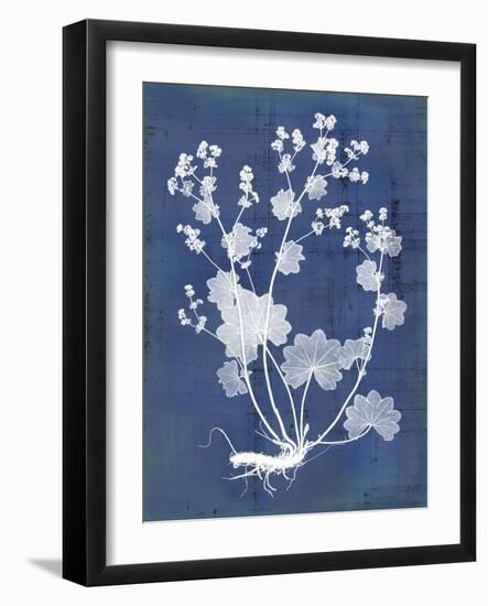 Nature's Imprint I-Vision Studio-Framed Art Print