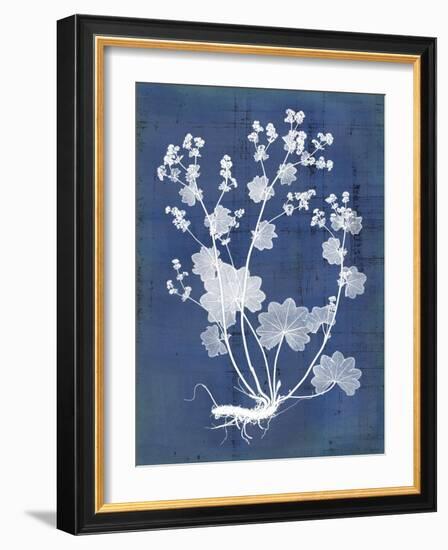 Nature's Imprint I-Vision Studio-Framed Art Print