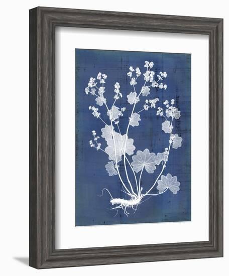 Nature's Imprint I-Vision Studio-Framed Art Print