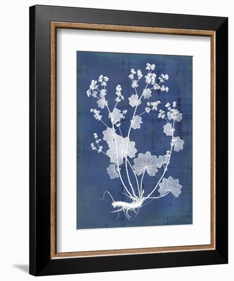 Nature's Imprint I-Vision Studio-Framed Art Print