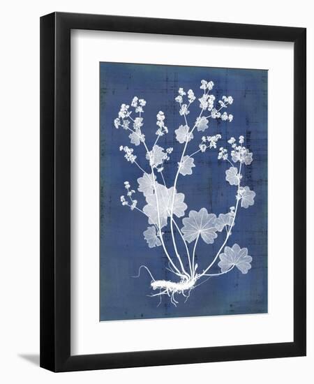 Nature's Imprint I-Vision Studio-Framed Art Print