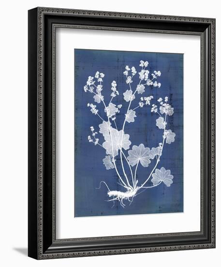 Nature's Imprint I-Vision Studio-Framed Art Print