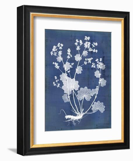 Nature's Imprint I-Vision Studio-Framed Art Print