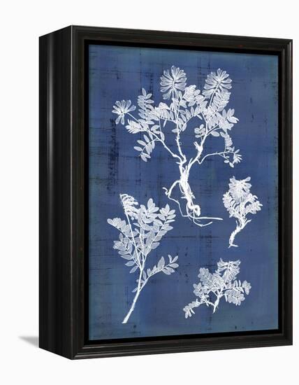 Nature's Imprint II-Vision Studio-Framed Stretched Canvas