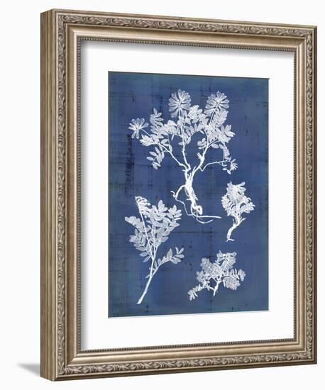 Nature's Imprint II-Vision Studio-Framed Art Print