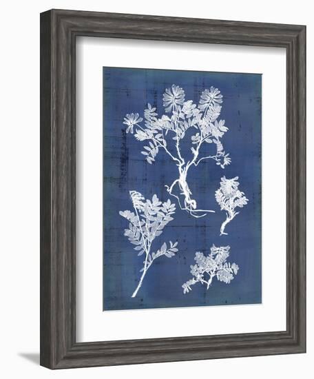 Nature's Imprint II-Vision Studio-Framed Art Print