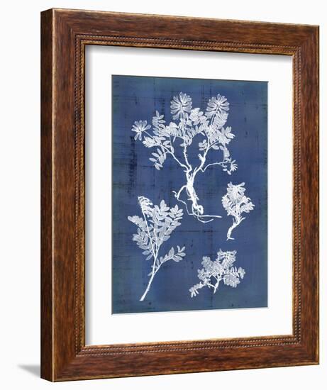 Nature's Imprint II-Vision Studio-Framed Art Print