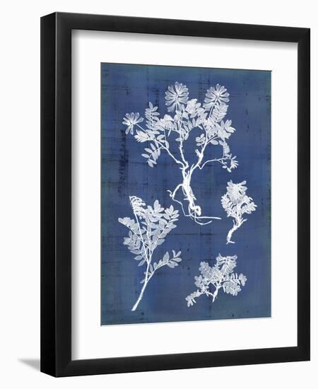 Nature's Imprint II-Vision Studio-Framed Art Print