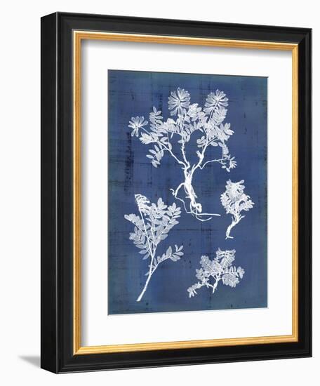 Nature's Imprint II-Vision Studio-Framed Art Print