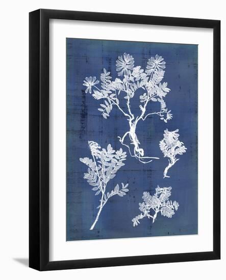 Nature's Imprint II-Vision Studio-Framed Art Print