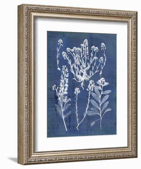 Nature's Imprint III-Vision Studio-Framed Art Print