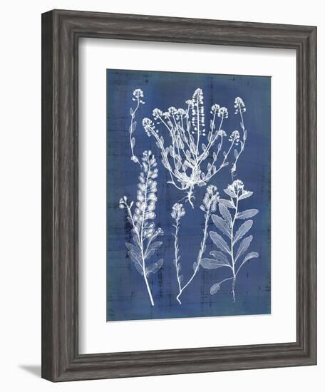 Nature's Imprint III-Vision Studio-Framed Art Print