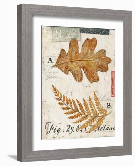 Nature's Leaves-Angela Staehling-Framed Art Print