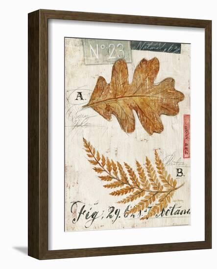 Nature's Leaves-Angela Staehling-Framed Art Print