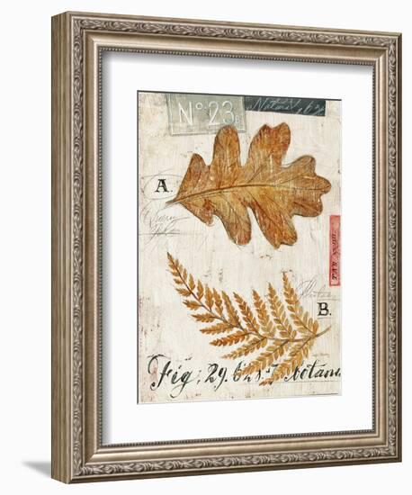 Nature's Leaves-Angela Staehling-Framed Art Print