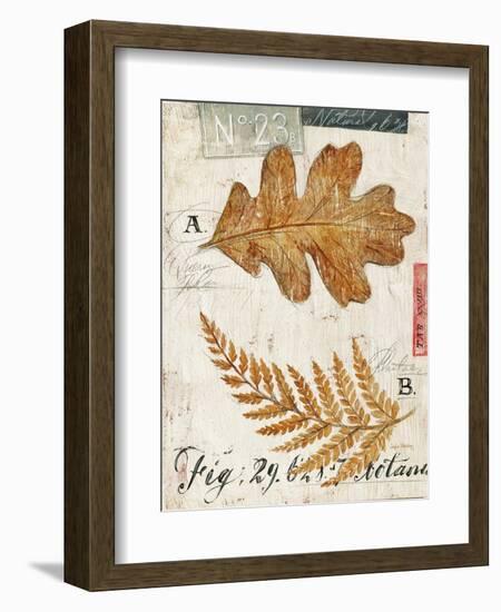 Nature's Leaves-Angela Staehling-Framed Art Print