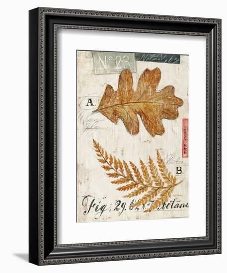 Nature's Leaves-Angela Staehling-Framed Art Print