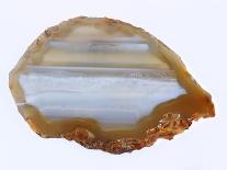 Golden Water Agate-Nature’s Little Gems-Framed Giclee Print