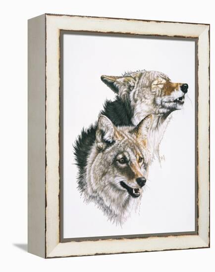 Nature's Minstral-Barbara Keith-Framed Premier Image Canvas