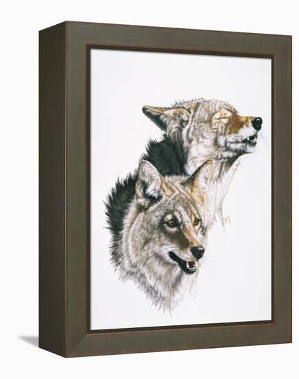 Nature's Minstral-Barbara Keith-Framed Premier Image Canvas