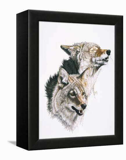 Nature's Minstral-Barbara Keith-Framed Premier Image Canvas