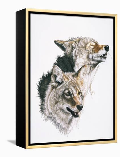 Nature's Minstral-Barbara Keith-Framed Premier Image Canvas