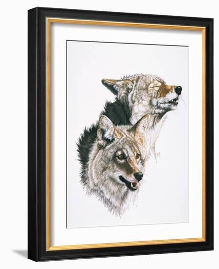 Nature's Minstral-Barbara Keith-Framed Giclee Print