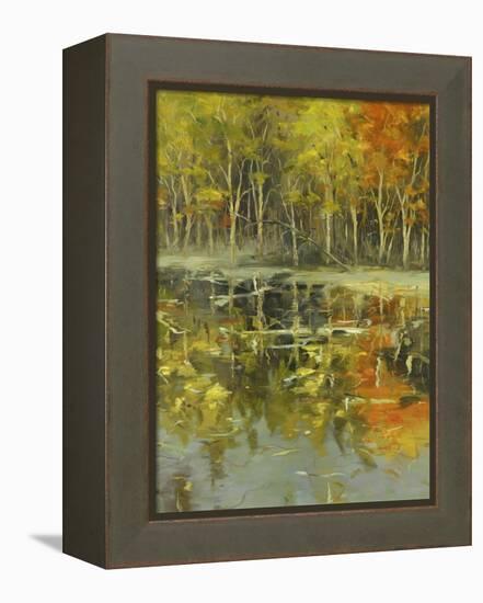 Nature's Mirror-Tim Howe-Framed Premier Image Canvas