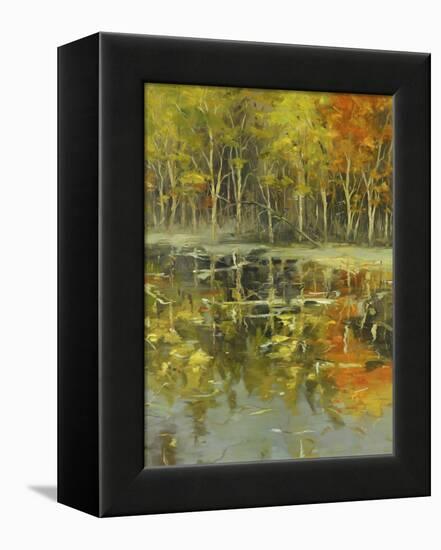 Nature's Mirror-Tim Howe-Framed Premier Image Canvas