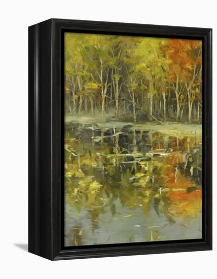 Nature's Mirror-Tim Howe-Framed Premier Image Canvas