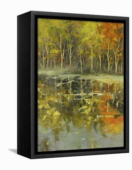 Nature's Mirror-Tim Howe-Framed Premier Image Canvas