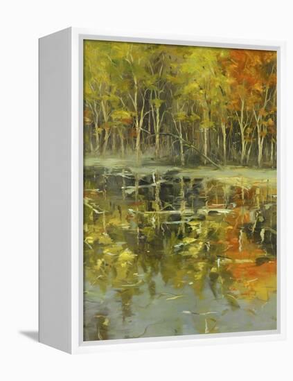 Nature's Mirror-Tim Howe-Framed Premier Image Canvas