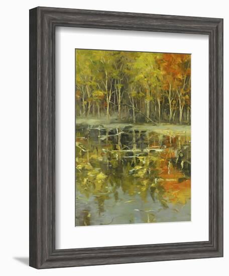 Nature's Mirror-Tim Howe-Framed Giclee Print