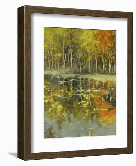 Nature's Mirror-Tim Howe-Framed Giclee Print