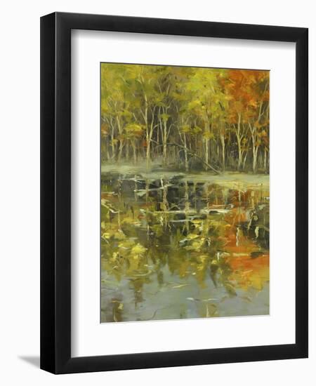 Nature's Mirror-Tim Howe-Framed Giclee Print