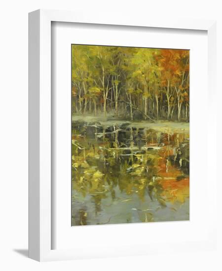 Nature's Mirror-Tim Howe-Framed Giclee Print