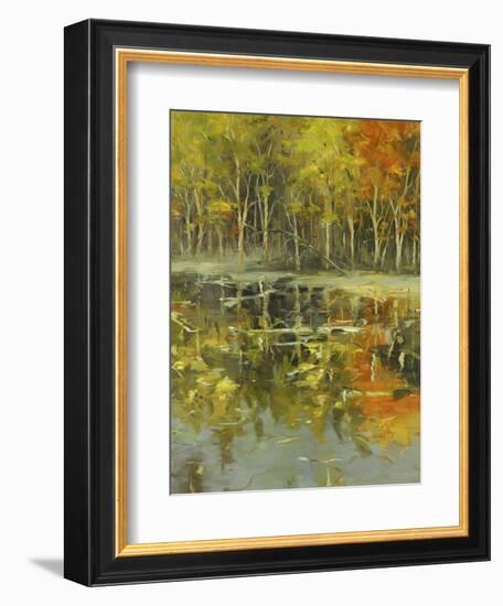 Nature's Mirror-Tim Howe-Framed Giclee Print