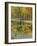 Nature's Mirror-Tim Howe-Framed Giclee Print