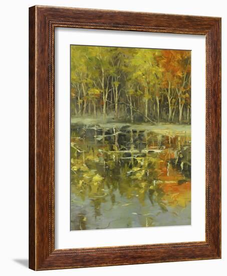 Nature's Mirror-Tim Howe-Framed Giclee Print