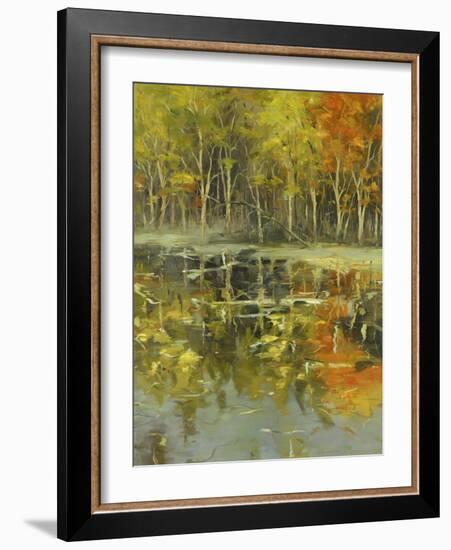 Nature's Mirror-Tim Howe-Framed Giclee Print