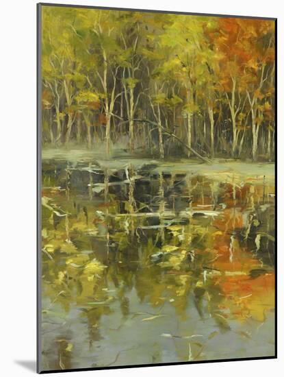 Nature's Mirror-Tim Howe-Mounted Giclee Print