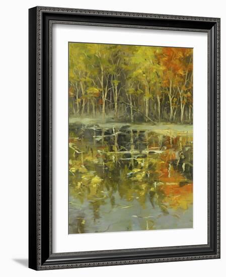 Nature's Mirror-Tim Howe-Framed Giclee Print