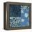 Nature's Montage IX-Nancy Slocum-Framed Stretched Canvas