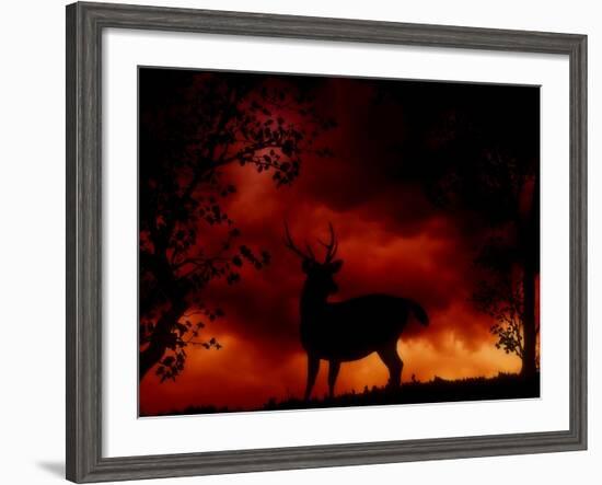 Nature's Morning-Julie Fain-Framed Art Print