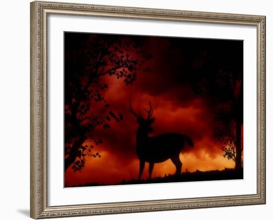 Nature's Morning-Julie Fain-Framed Art Print