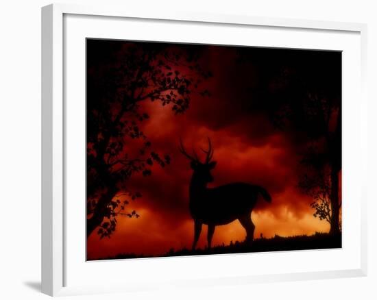 Nature's Morning-Julie Fain-Framed Art Print