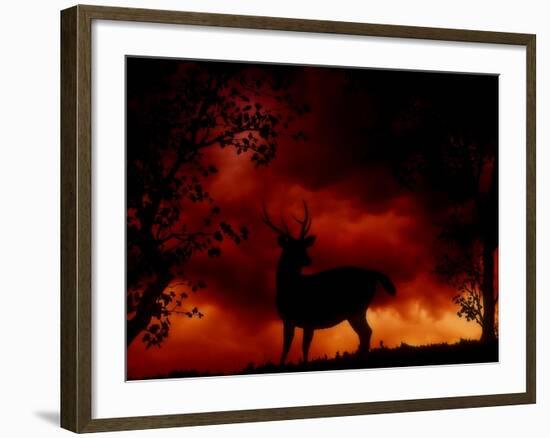 Nature's Morning-Julie Fain-Framed Art Print