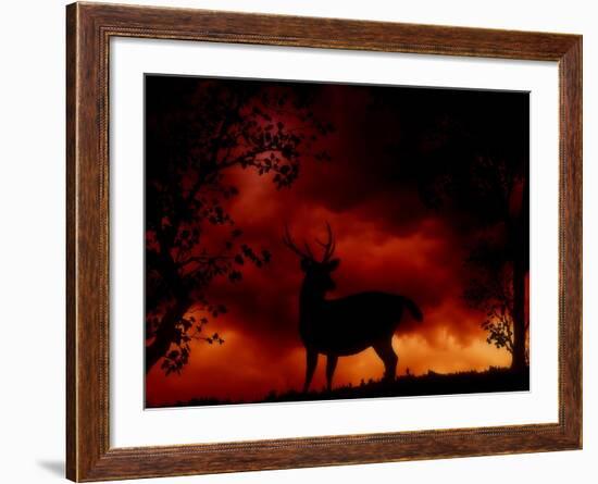 Nature's Morning-Julie Fain-Framed Art Print