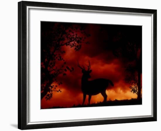 Nature's Morning-Julie Fain-Framed Art Print